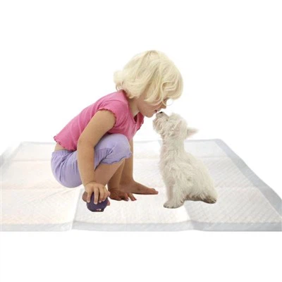 Tampă de absorbție de unică folosință pentru oameni și animale de companie